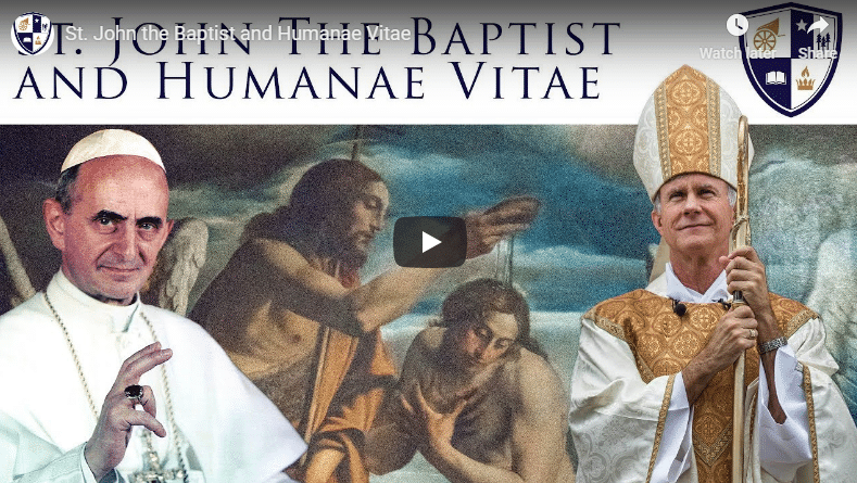 St. John and Humanae Vitae